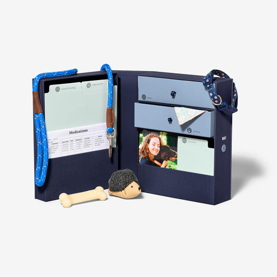Pet Vault Keepsake Box - Blue banner
